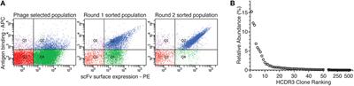 Many Routes to an Antibody Heavy-Chain CDR3: Necessary, Yet Insufficient, for Specific Binding